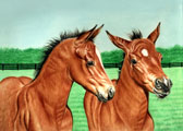 Mares and Foals, Equine Art - Personal Space